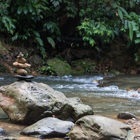Rain Forest Guest House And Jungle Trekking Букит Лаванг Екстериор снимка