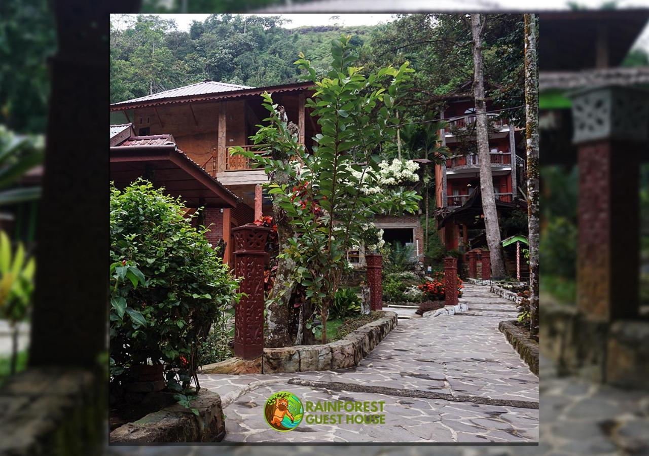 Rain Forest Guest House And Jungle Trekking Букит Лаванг Екстериор снимка
