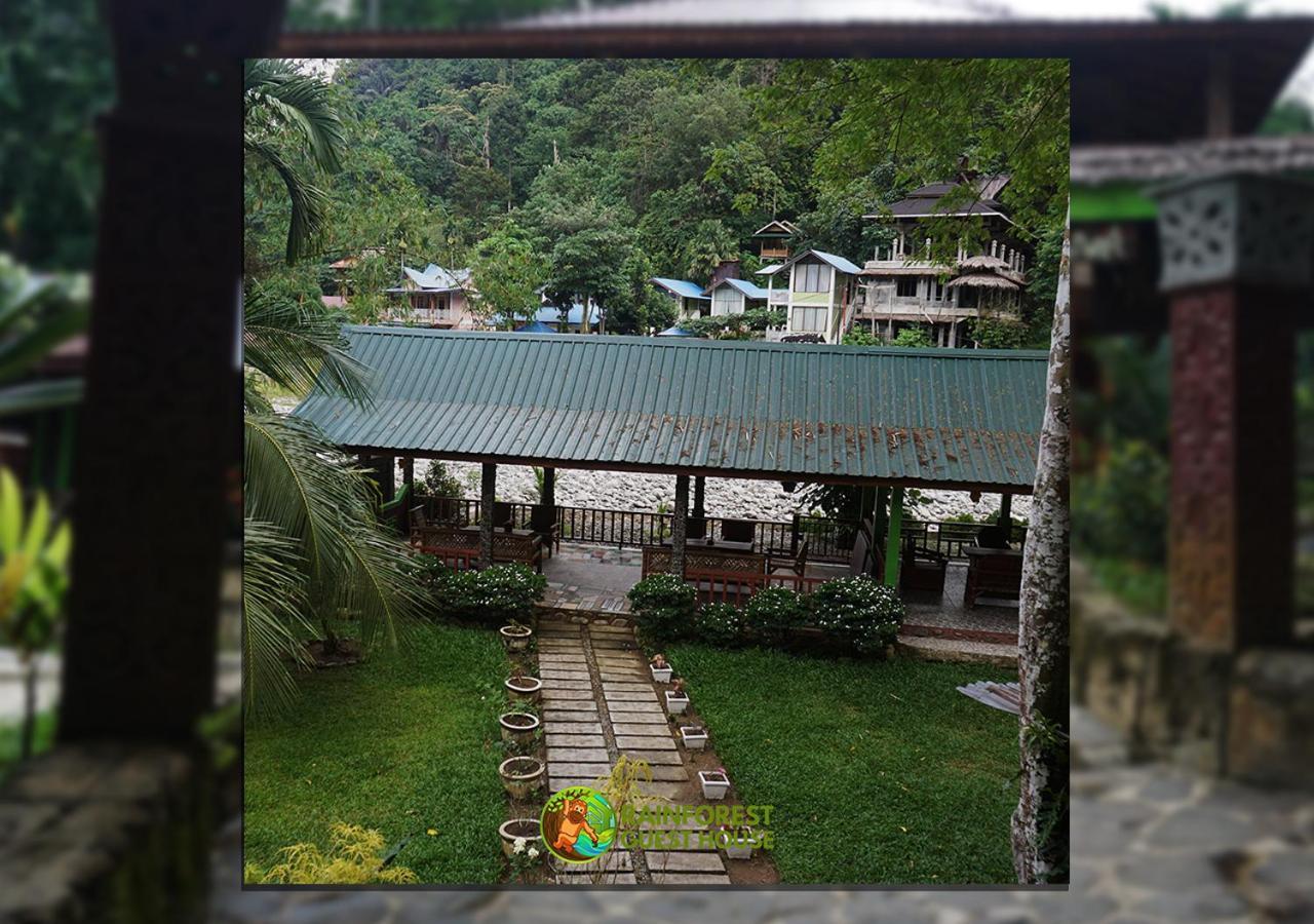 Rain Forest Guest House And Jungle Trekking Букит Лаванг Екстериор снимка