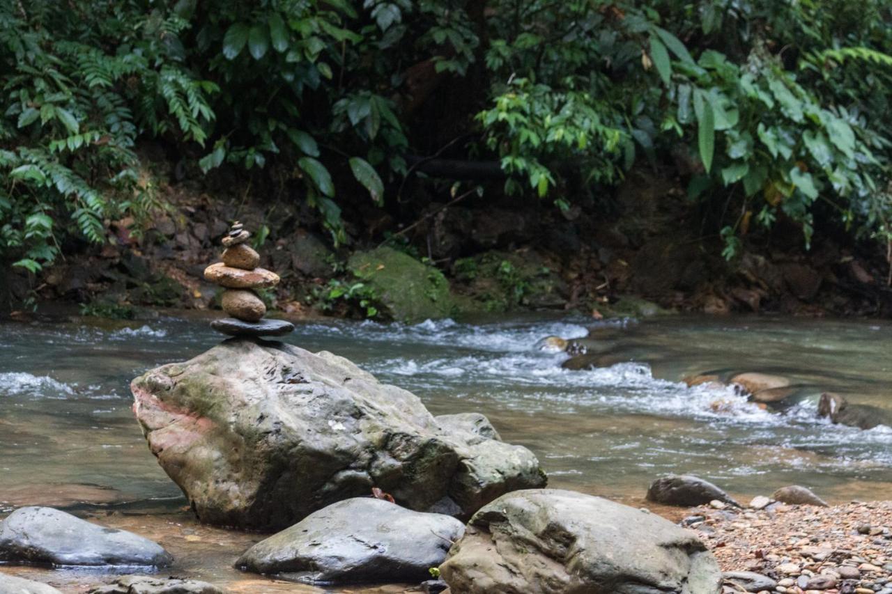 Rain Forest Guest House And Jungle Trekking Букит Лаванг Екстериор снимка